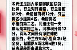 开云体育入口-关于芬兰晋级，踏上欧国联半决赛之路的信息
