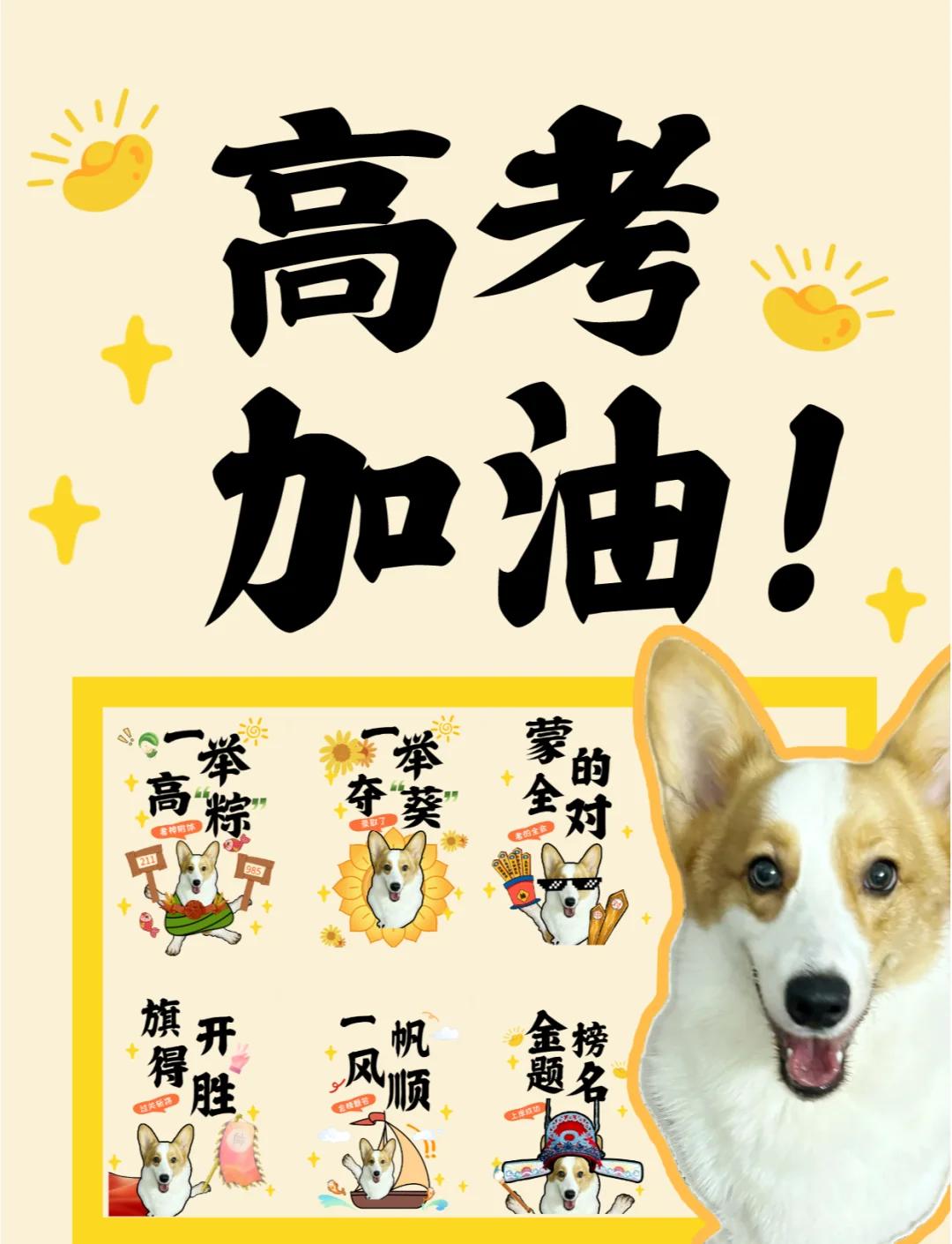 梵蒂冈女足力争胜利，为晋级冲刺努力